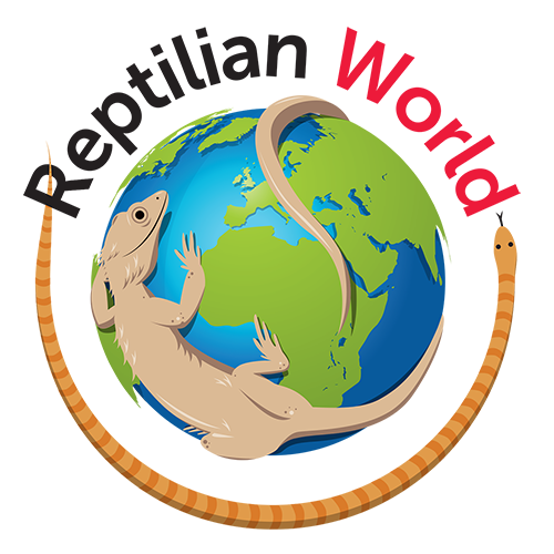 Reptilian World