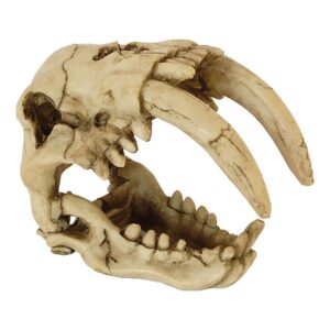 RepStyle Skull Saber Tooth Tiger 15.5×8.5×11.5cm