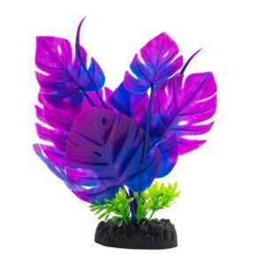 AquaSpectra Monstera Plant Blue 20cm