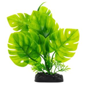 AquaSpectra Monstera Plant Green 20cm