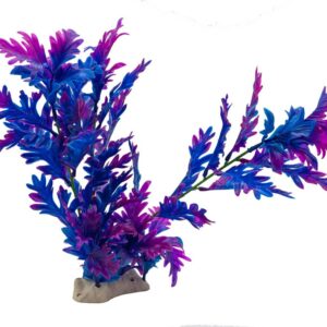 AquaSpectra Hygrophila Plant Blue 30cm