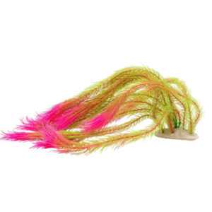 AquaSpectra Ludwigia Plant Pink 40cm