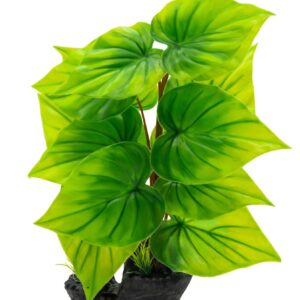 AquaSpectra Phylodendron Plant Green 40cm