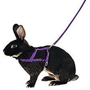 Rabbit Harness & Lead
